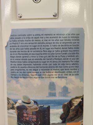 Mar de pensamientos